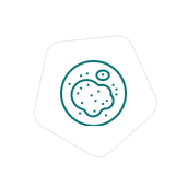 service_icon